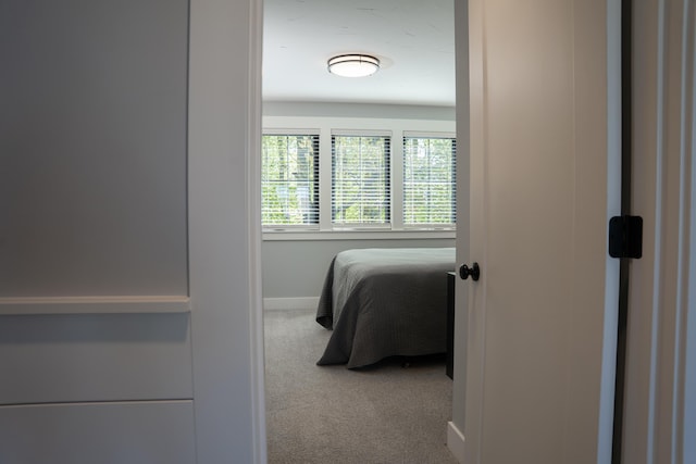 8182 Country Rail Dr SW, Byron Center, MI 49315 - bedroom with carpet flooring and baseboards