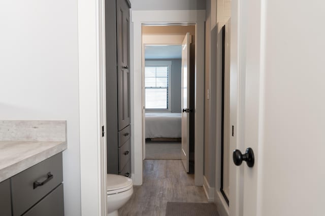 8182 Country Rail Dr SW, Byron Center, MI 49315 - bathroom with vanity, toilet, and wood finished floors