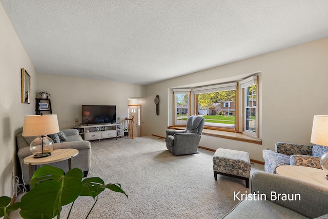 living area with carpet and a textured ceiling