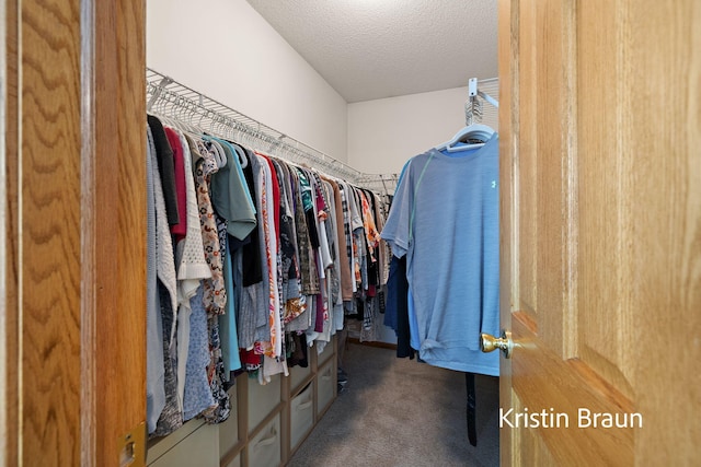 spacious closet with carpet