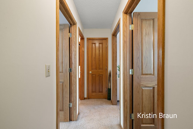 hall featuring carpet and a textured ceiling