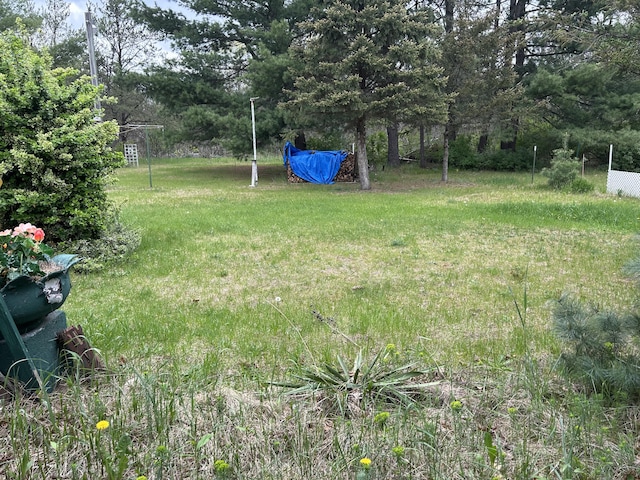 1902 W Ogilvie Ave, Baldwin, MI 49304 - view of yard