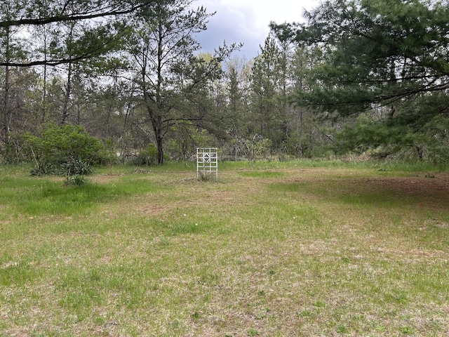 1902 W Ogilvie Ave, Baldwin, MI 49304 - view of yard featuring a wooded view
