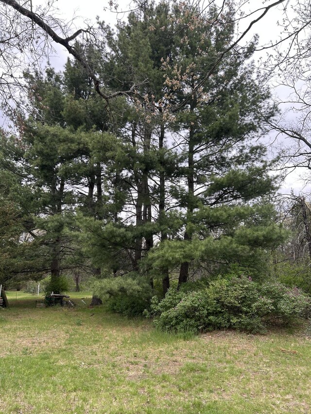 1902 W Ogilvie Ave, Baldwin, MI 49304 - view of nature