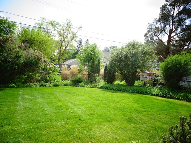 view of green lawn