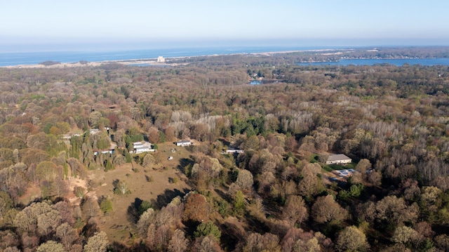 2330 N Rath Rd, Ludington, MI 49431 - view of property location with a heavily wooded area and a nearby body of water