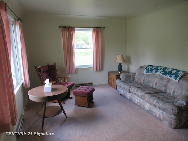 living room with carpet floors
