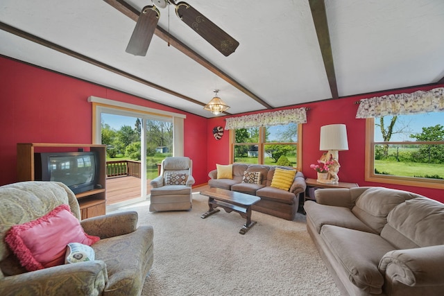 204 Parker St, Cement City, MI 49233 - carpeted living area with ceiling fan