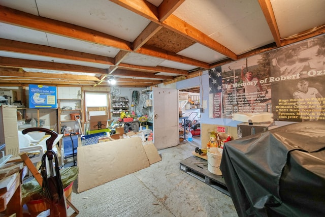 204 Parker St, Cement City, MI 49233 - view of below grade area