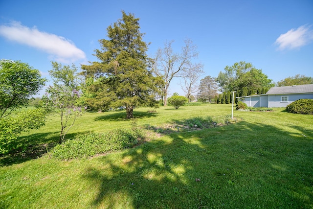 204 Parker St, Cement City, MI 49233 - view of green lawn