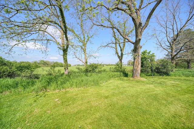 204 Parker St, Cement City, MI 49233 - view of yard