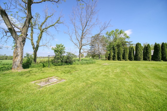 204 Parker St, Cement City, MI 49233 - view of green lawn