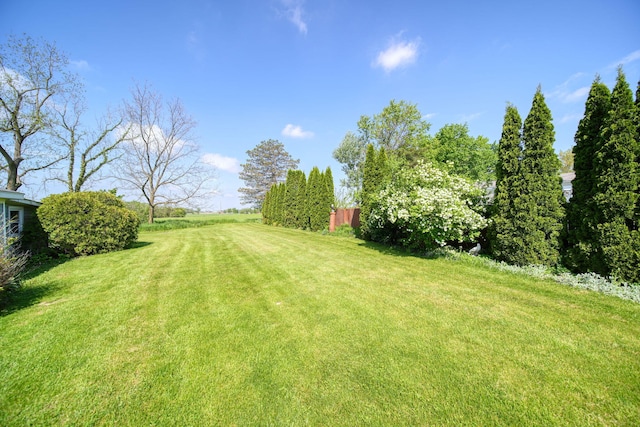 204 Parker St, Cement City, MI 49233 - view of green lawn