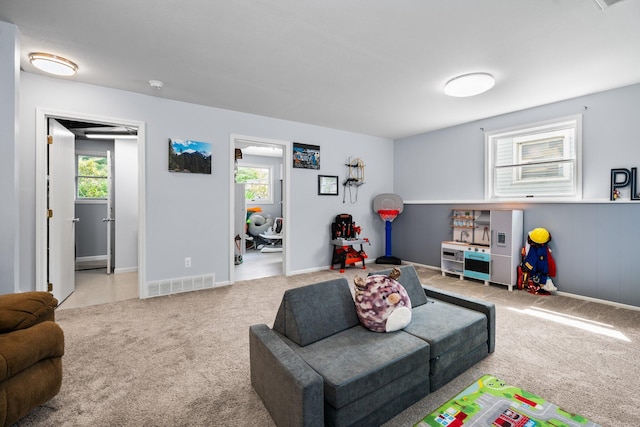 160 Cherry St, Milan, MI 48160 - recreation room with carpet floors