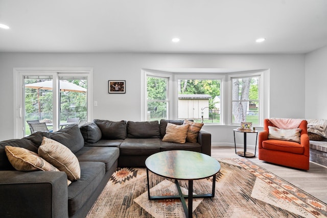 160 Cherry St, Milan, MI 48160 - living room with wood finished floors, plenty of natural light, and recessed lighting