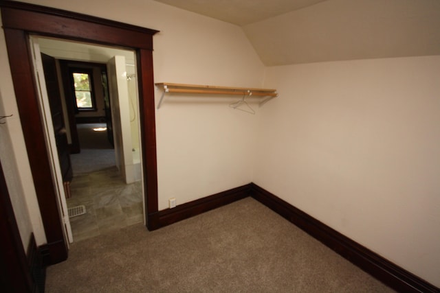 212 Rose Pl, Kalamazoo, MI 49001 - walk in closet with carpet flooring and vaulted ceiling