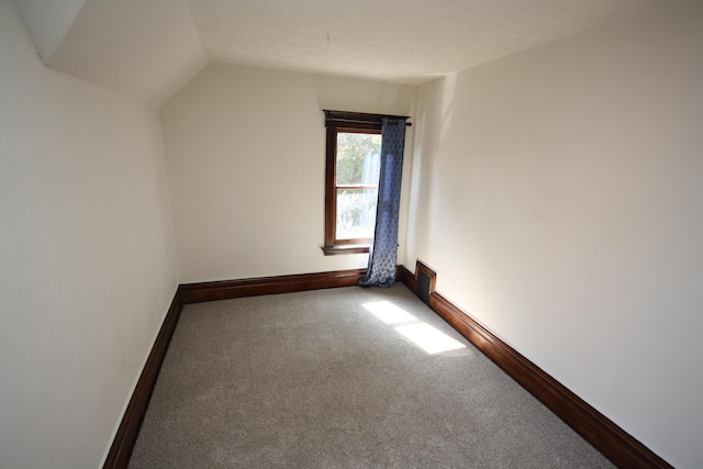 212 Rose Pl, Kalamazoo, MI 49001 - additional living space featuring carpet flooring, vaulted ceiling, and baseboards