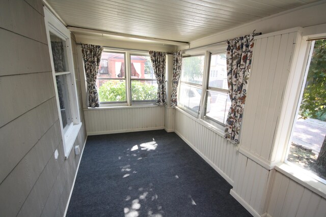 212 Rose Pl, Kalamazoo, MI 49001 - unfurnished sunroom with carpet