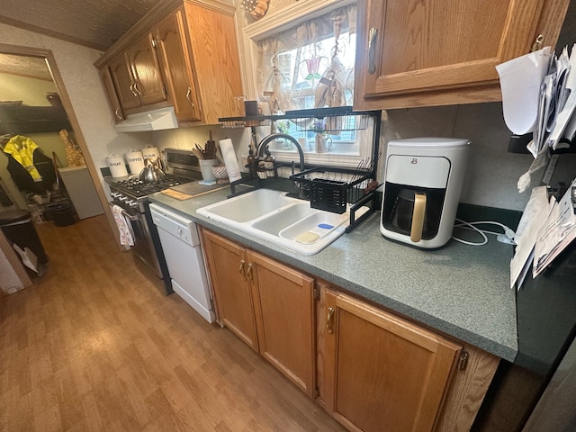 33332 Fern Ct, Lenox, MI 48048 - kitchen featuring a sink, under cabinet range hood, stainless steel range with gas stovetop, light wood-style floors, and dishwasher