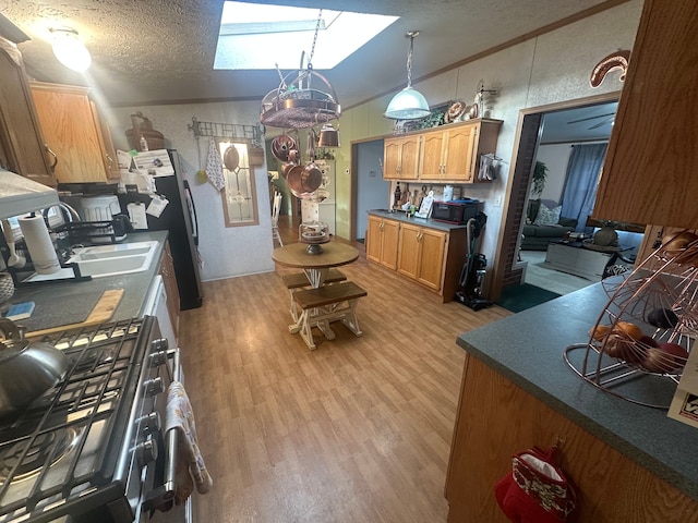 33332 Fern Ct, Lenox, MI 48048 - kitchen featuring a skylight, vaulted ceiling, a sink, light wood finished floors, and appliances with stainless steel finishes