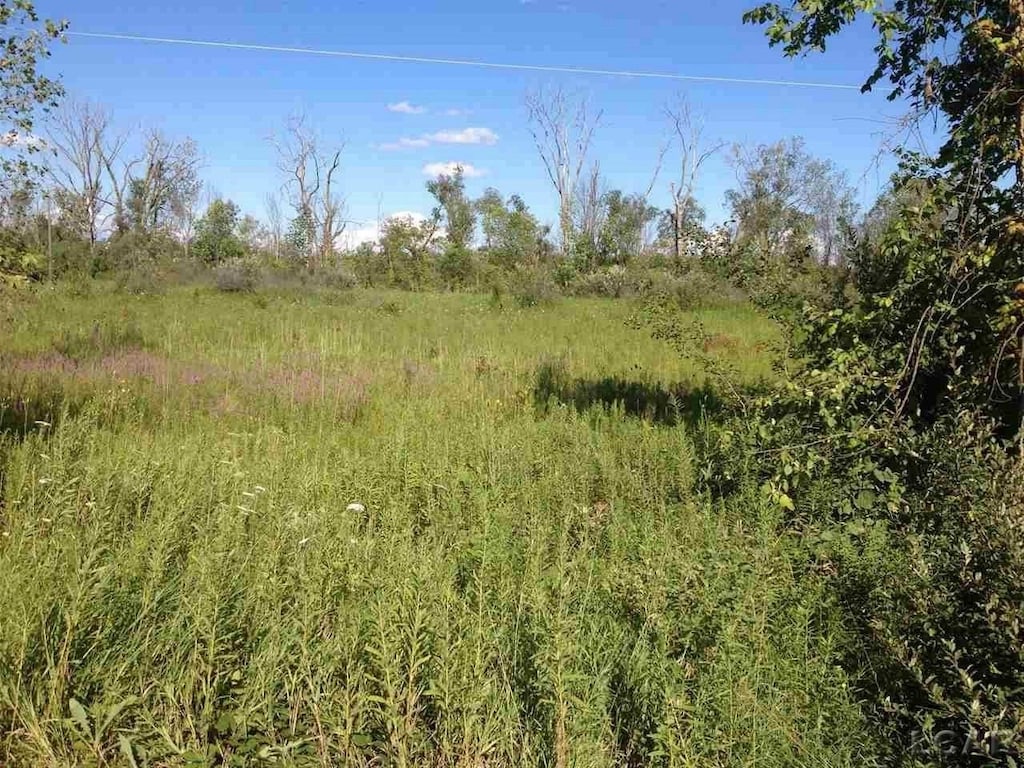 7000 Springville Rd, Onsted, MI 49265