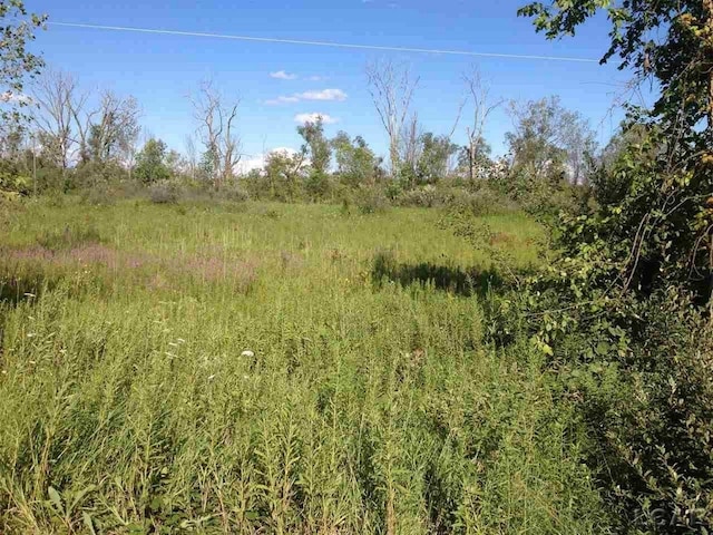 7000 Springville Rd, Onsted, MI 49265