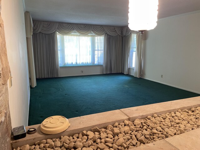 1120 Marshall Rd, Tekonsha, MI 49092 - photo 4