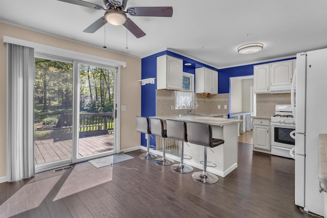 11317 N Dr, Brooklyn, MI 49230 - kitchen with white appliances, a peninsula, a sink, light countertops, and ceiling fan