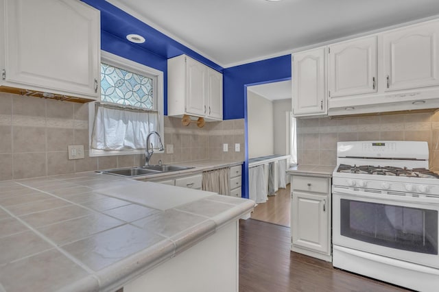 11317 N Dr, Brooklyn, MI 49230 - kitchen featuring white gas stove, tile countertops, under cabinet range hood, a sink, and white cabinetry