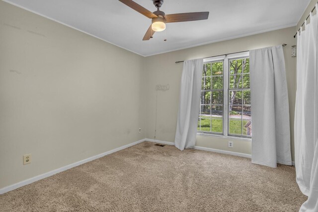 11317 N Dr, Brooklyn, MI 49230 - empty room with carpet flooring, plenty of natural light, baseboards, a ceiling fan, and crown molding