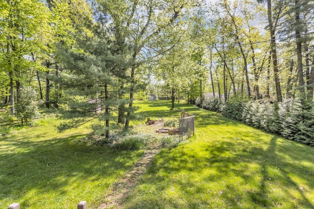11317 N Dr, Brooklyn, MI 49230 - view of grassy yard