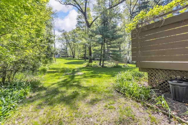 11317 N Dr, Brooklyn, MI 49230 - view of green lawn