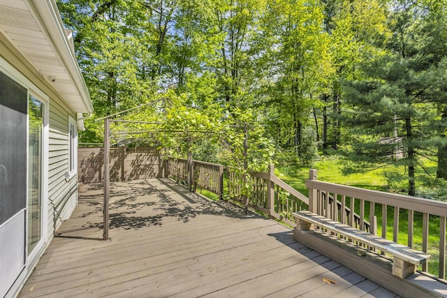11317 N Dr, Brooklyn, MI 49230 - view of wooden deck
