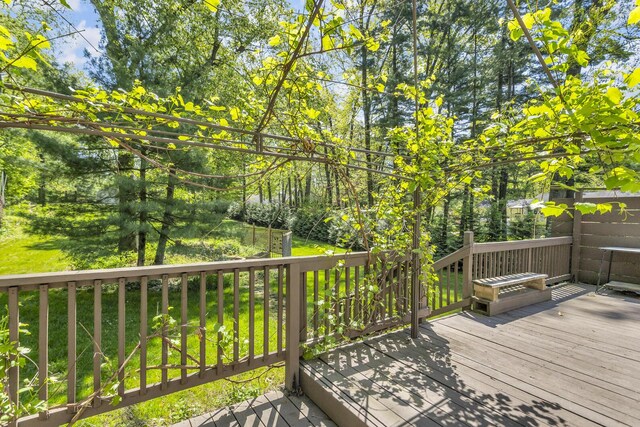 11317 N Dr, Brooklyn, MI 49230 - wooden terrace with a lawn