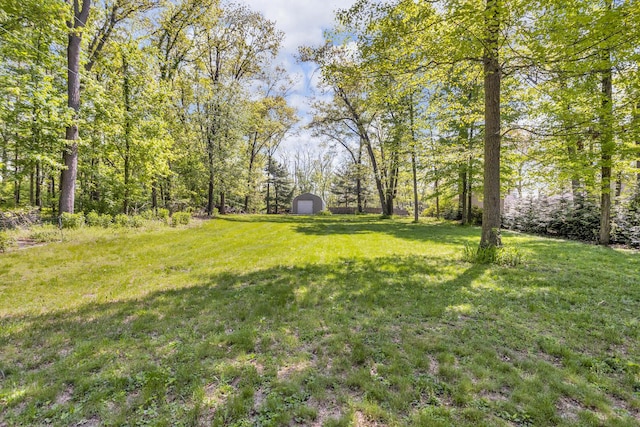 11317 N Dr, Brooklyn, MI 49230 - view of green lawn with a shed and an outdoor structure