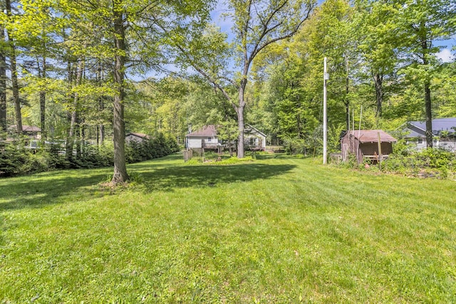 11317 N Dr, Brooklyn, MI 49230 - view of grassy yard