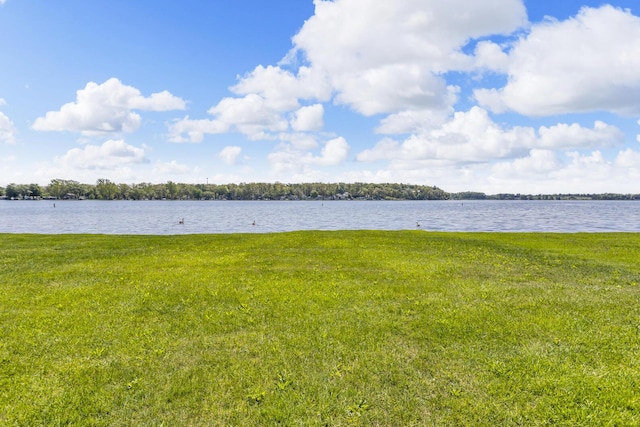 11317 N Dr, Brooklyn, MI 49230 - water view