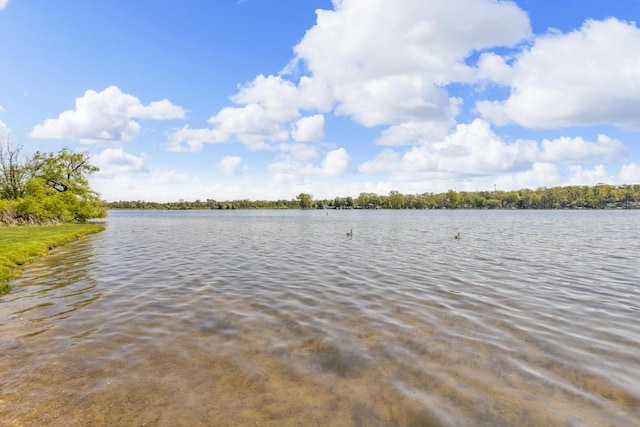 11317 N Dr, Brooklyn, MI 49230 - water view