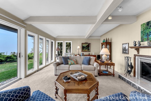 living area featuring carpet flooring and a fireplace
