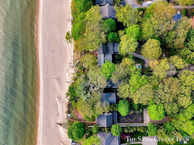 drone / aerial view