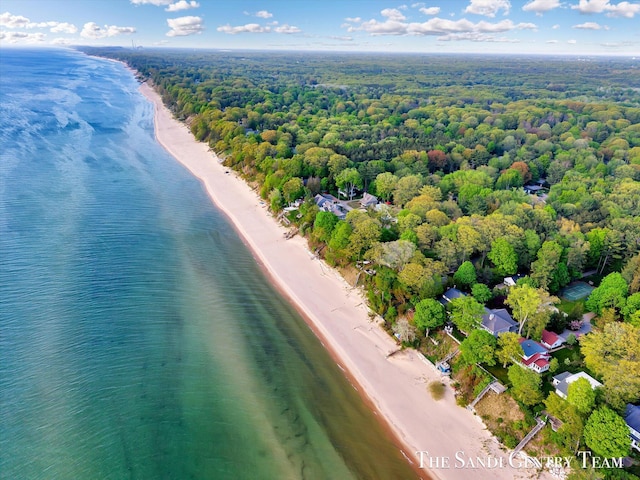 bird's eye view of a forest and unending shoreline