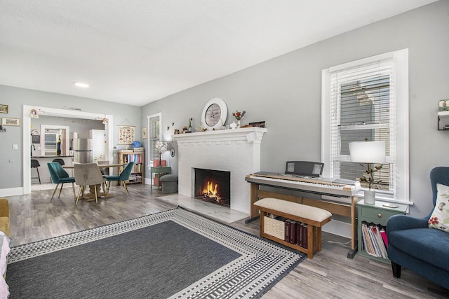 622 Thomas St SE, Grand Rapids, MI 49503 - living room featuring wood finished floors, healthy amount of natural light, and a fireplace
