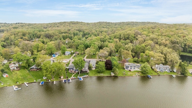 bird's eye view of a forest and a large body of water