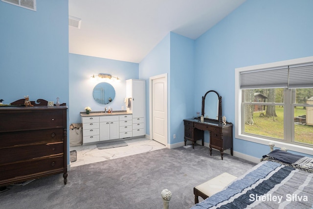 2496 Wolf Lake Dr, Baldwin, MI 49304 - bedroom with high vaulted ceiling and baseboards