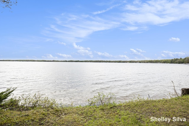 2496 Wolf Lake Dr, Baldwin, MI 49304 - water view
