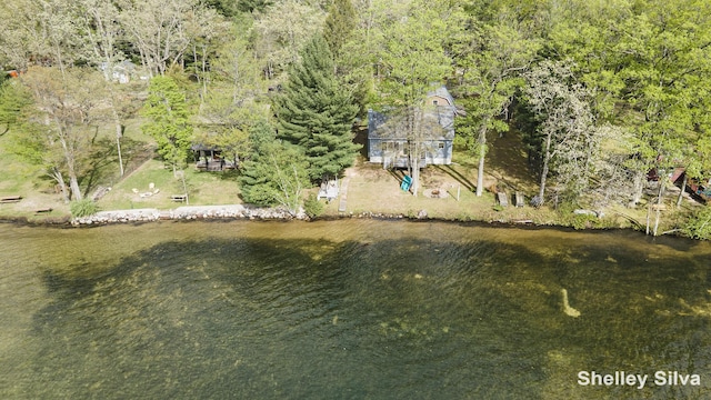 2496 Wolf Lake Dr, Baldwin, MI 49304 - view from above of property with a heavily wooded area and a large body of water
