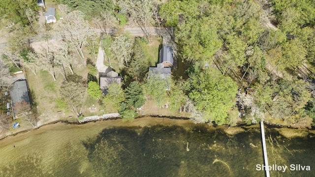 2496 Wolf Lake Dr, Baldwin, MI 49304 - drone / aerial view