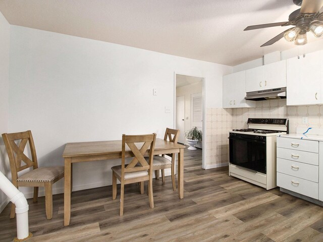 405 Jean St, Sturgis, MI 49091 - kitchen featuring gas range oven, under cabinet range hood, a ceiling fan, light wood finished floors, and light countertops