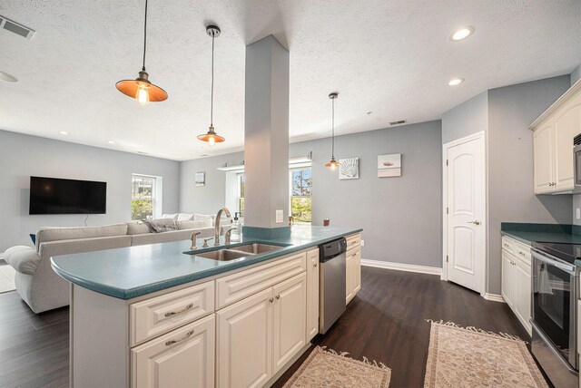 327 State St # 2, Saint Joseph, MI 49085 - kitchen with a sink, stainless steel appliances, dark wood-type flooring, recessed lighting, and open floor plan