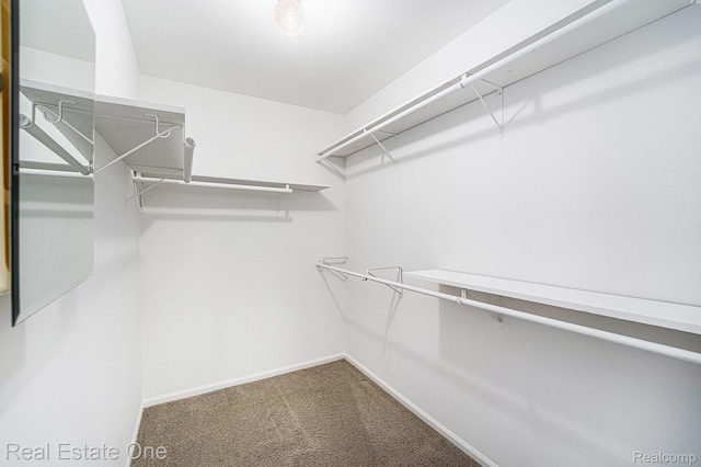 3079 Ravinewood Dr, Commerce Twp, MI 48382 - spacious closet featuring carpet flooring